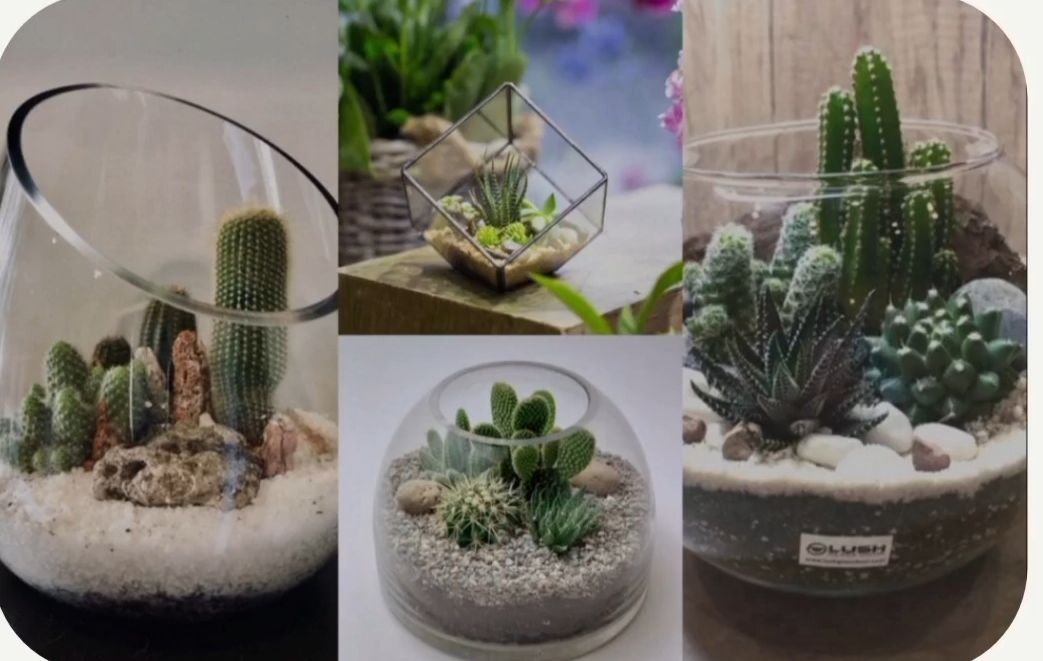 آموزش تراریوم 