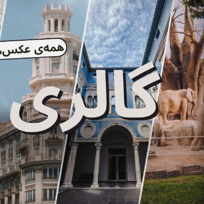گالری فیلم و عکس